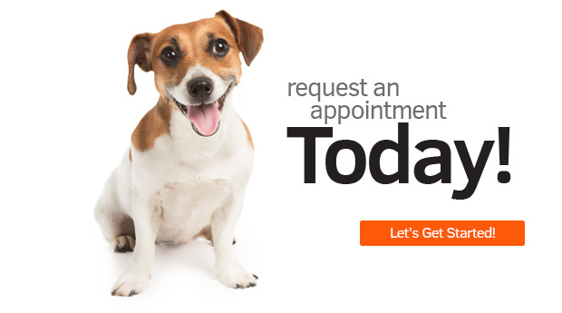 Veterinarian in Colma, CA